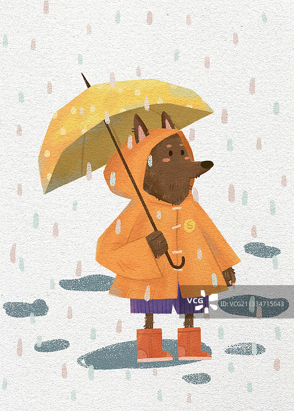 下雨天的狼图片素材