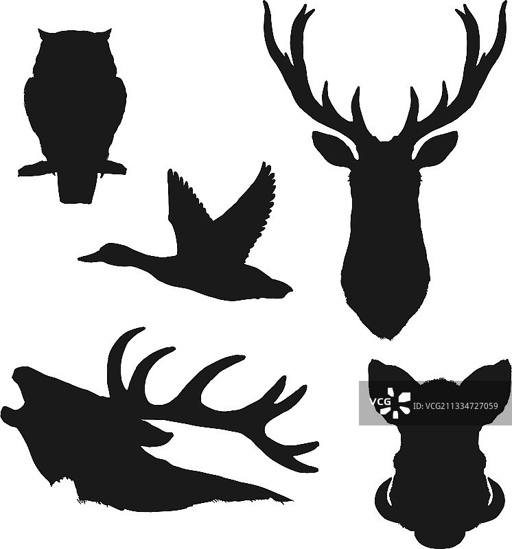 动物鸟类剪影，狩猎运动图片素材