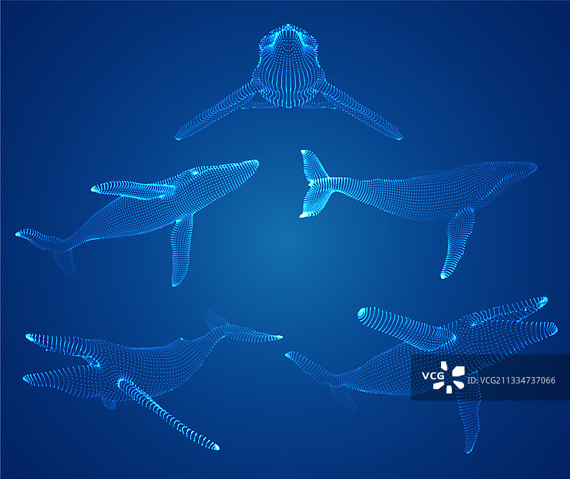 海洋保护蓝色鲸鱼3D模型图片素材