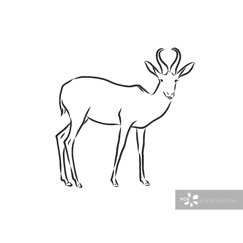 羚羊素描黑白图形图片素材