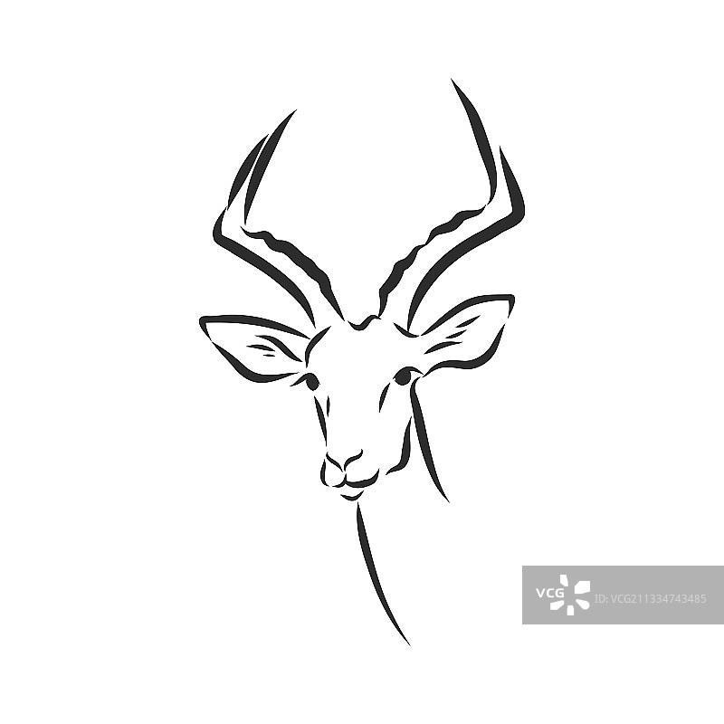 羚羊素描黑白图形图片素材