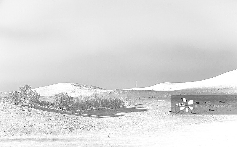 冬日草原图片素材