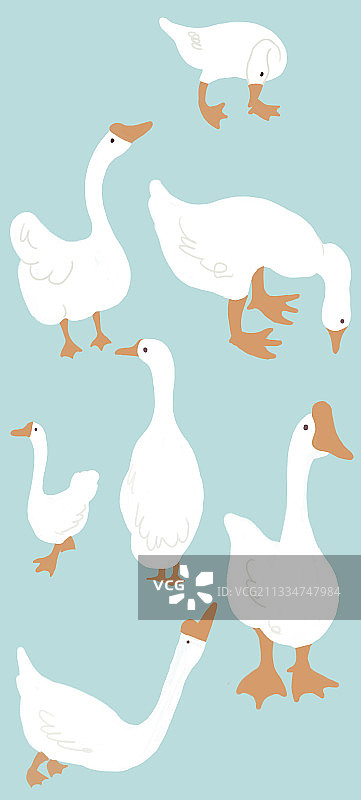 卡通扁平风大白鹅涂鸦壁纸包装可爱图案插画图片素材