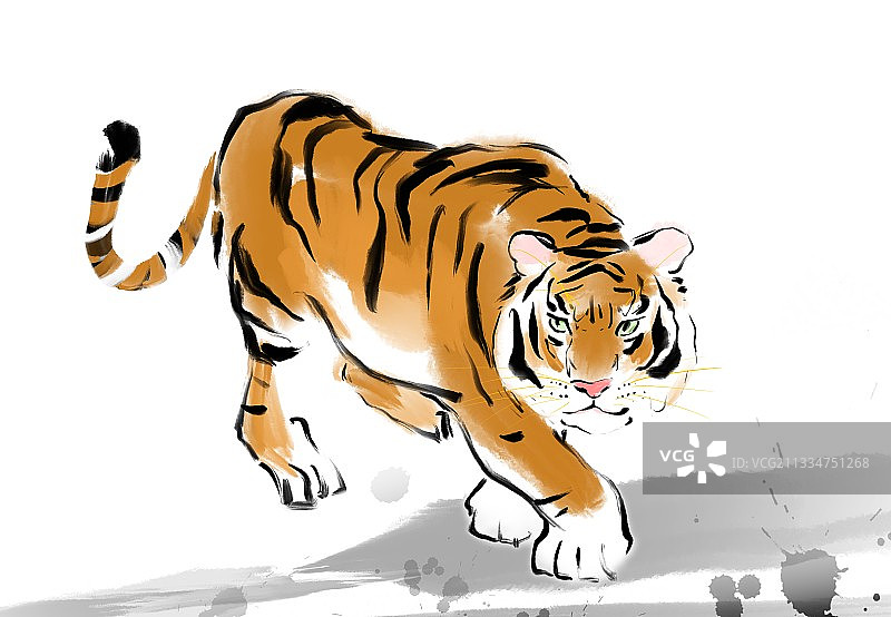 中国风插画水墨老虎图片素材