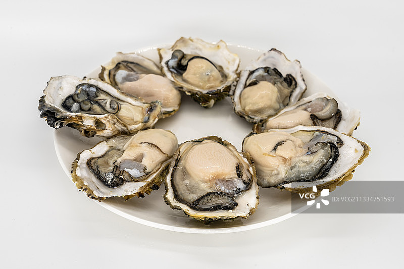 牡蛎生蚝海蛎子图片素材