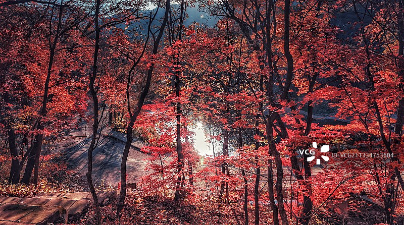 本溪大石湖秋色图片素材