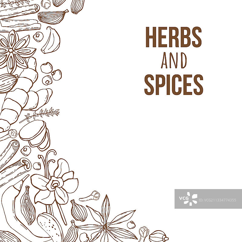 手工草药和香料背景图片素材