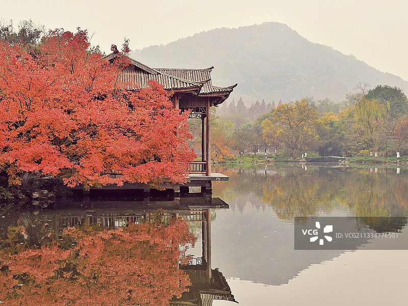 花港观鱼的红枫图片素材
