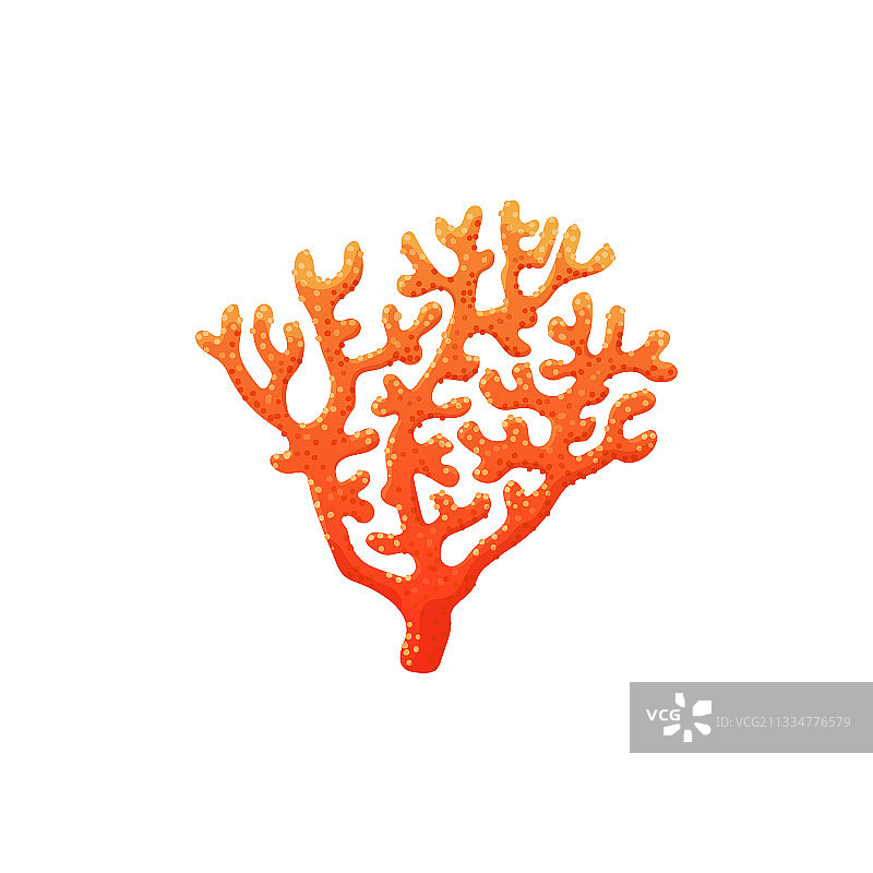 红色珊瑚海底生物扁平素材图片素材