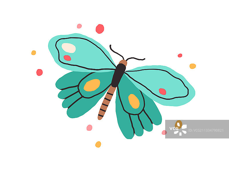 带有明亮斑点翅膀的蝴蝶俯视图图片素材