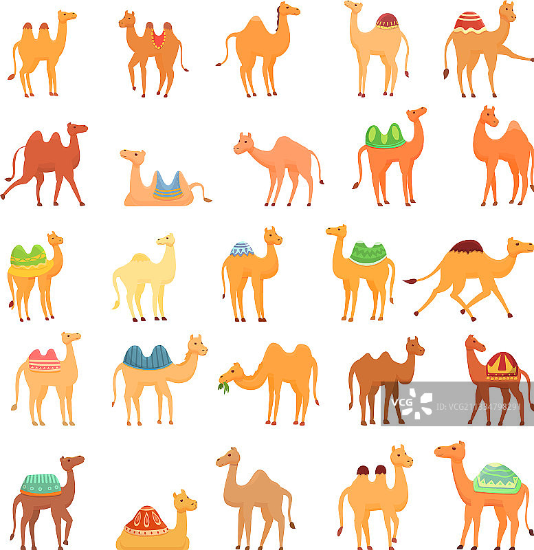 卡通风格骆驼图标集图片素材