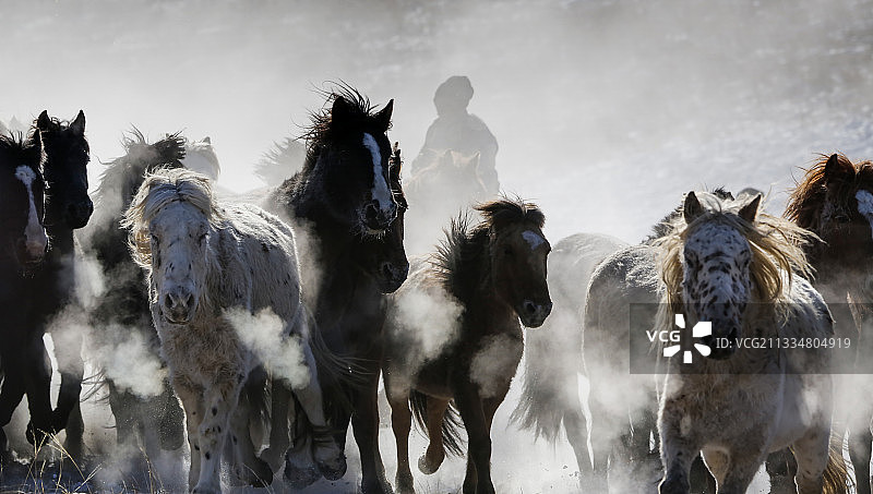冬季放马图片素材
