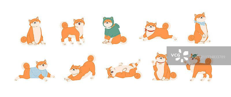 各种姿势的可爱秋田犬套装图片素材