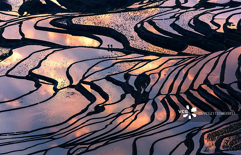 希望的田野图片素材