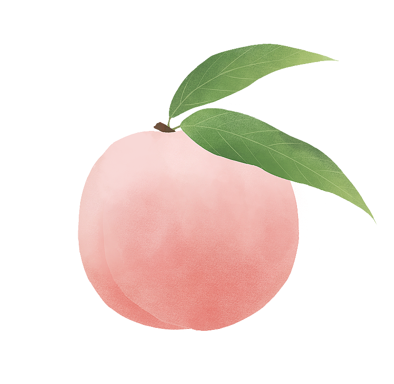 带叶子的桃子插画素材图片素材