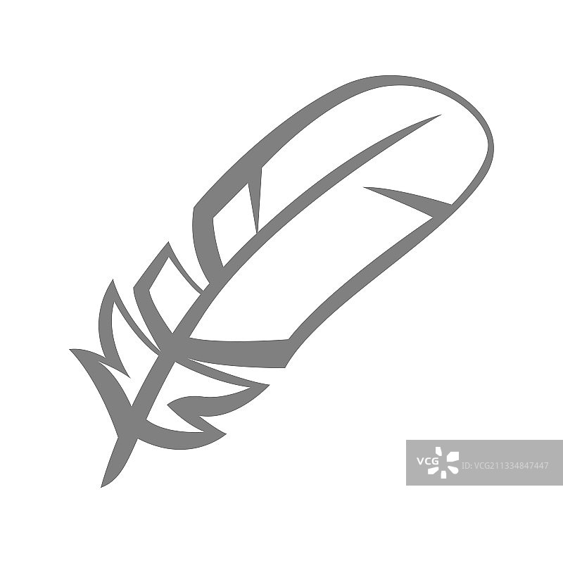 鸟类羽毛图片素材