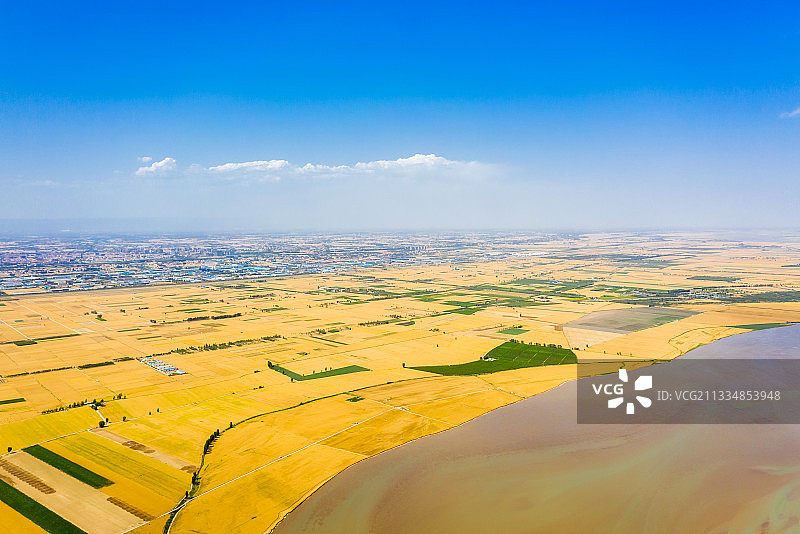 河南焦作温县黄河岸边夏季丰收的麦田户外风光航拍视角图片素材