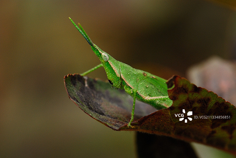 外面的世界图片素材