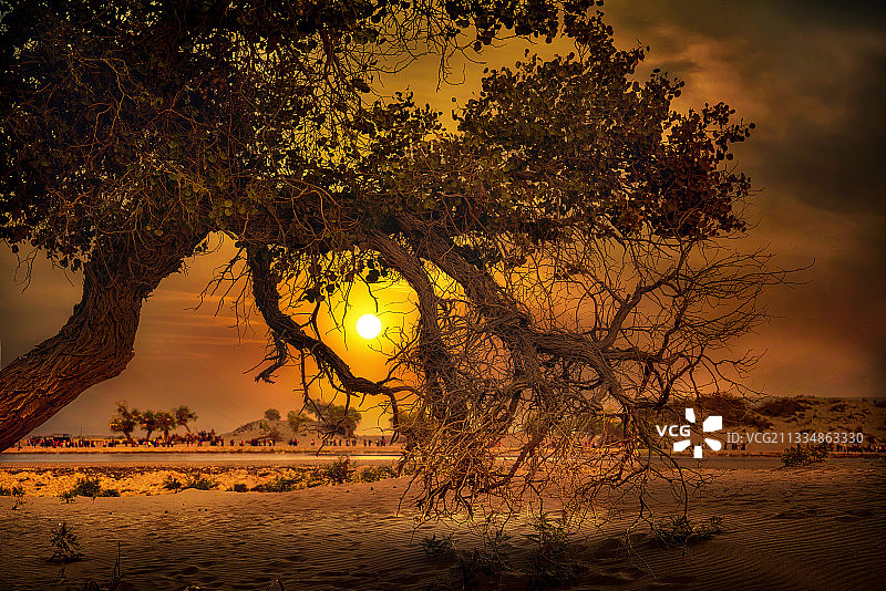 百年孤独图片素材