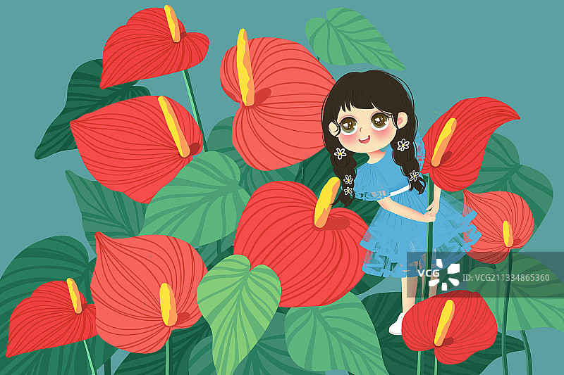 花丛精灵——红掌图片素材