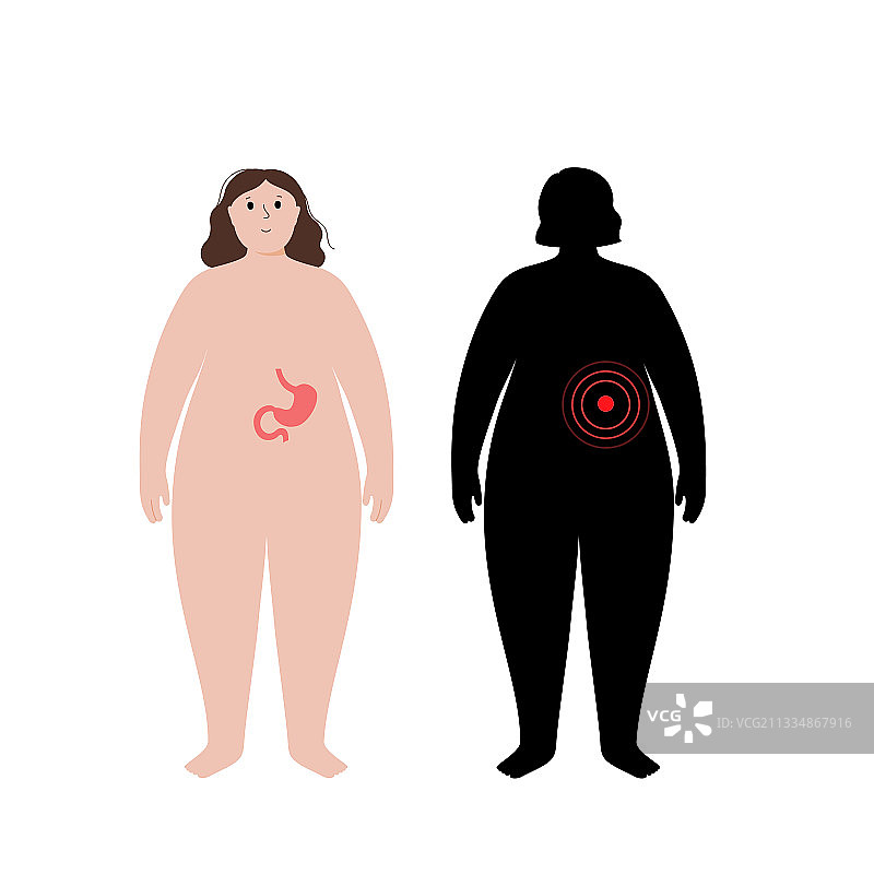 肥胖人体内的器官图片素材