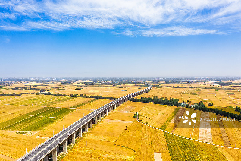 河南焦作黄河北岸麦地芒种时节夏季户外风光航拍视角图片素材