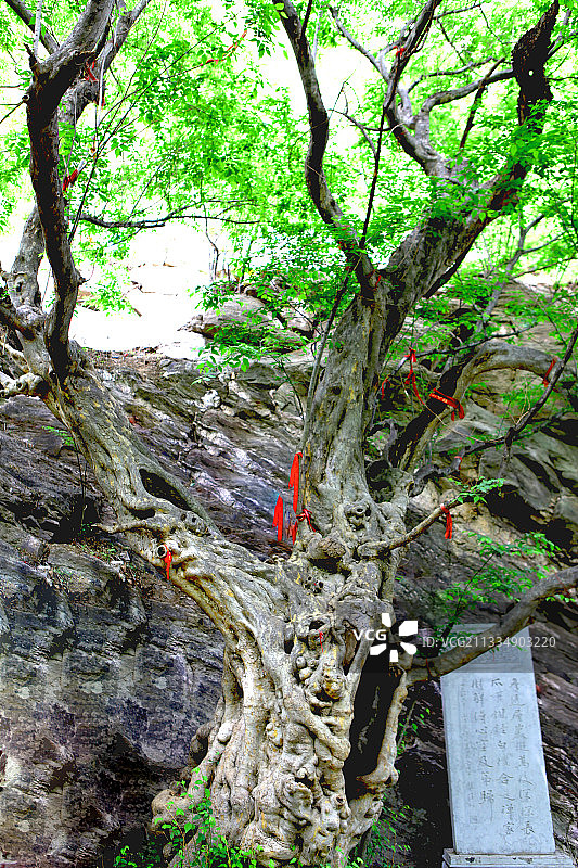 中国河北井陉苍岩山风光图片素材