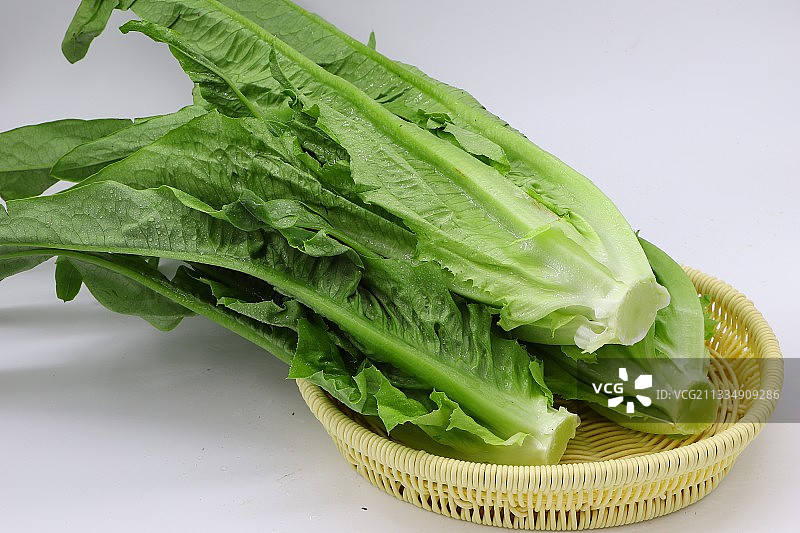 油麦菜图片素材