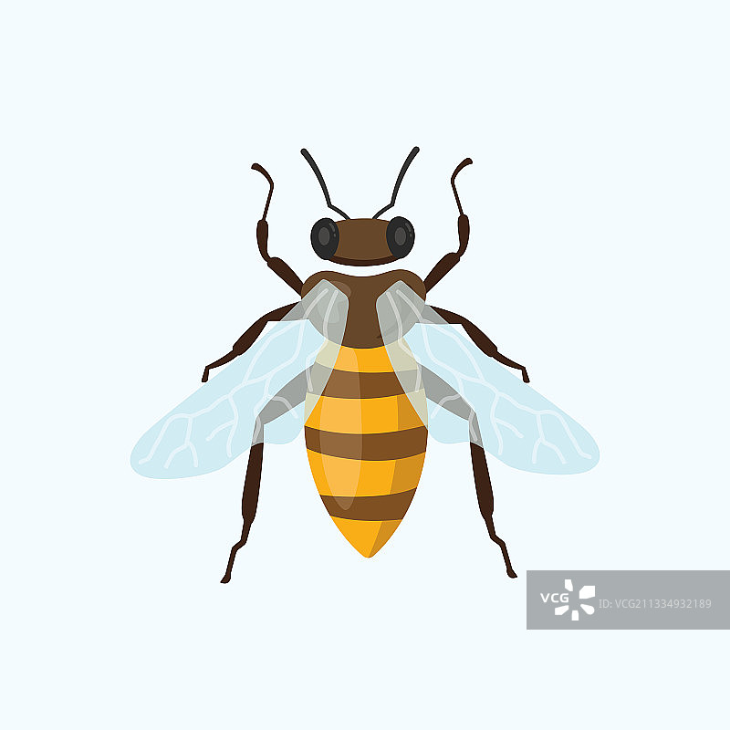 卡通蜜蜂蜂蜜手绘素材图片素材