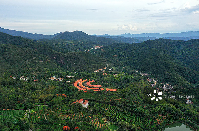 广东省梅州市梅县区雁南飞茶田景区航拍图片素材