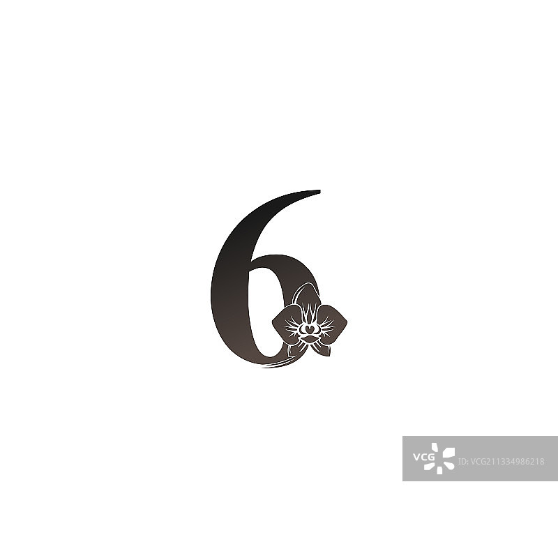 数字6标志，黑色兰花设计图片素材