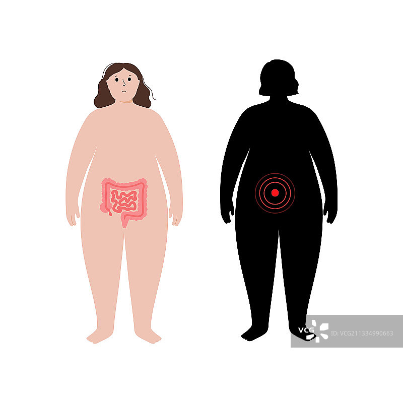 肥胖人体内的器官图片素材