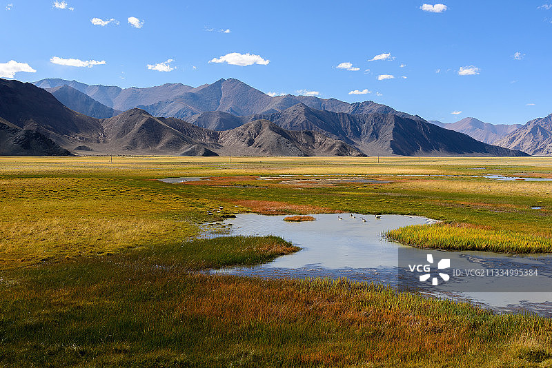 西藏阿里班公错湿地图片素材