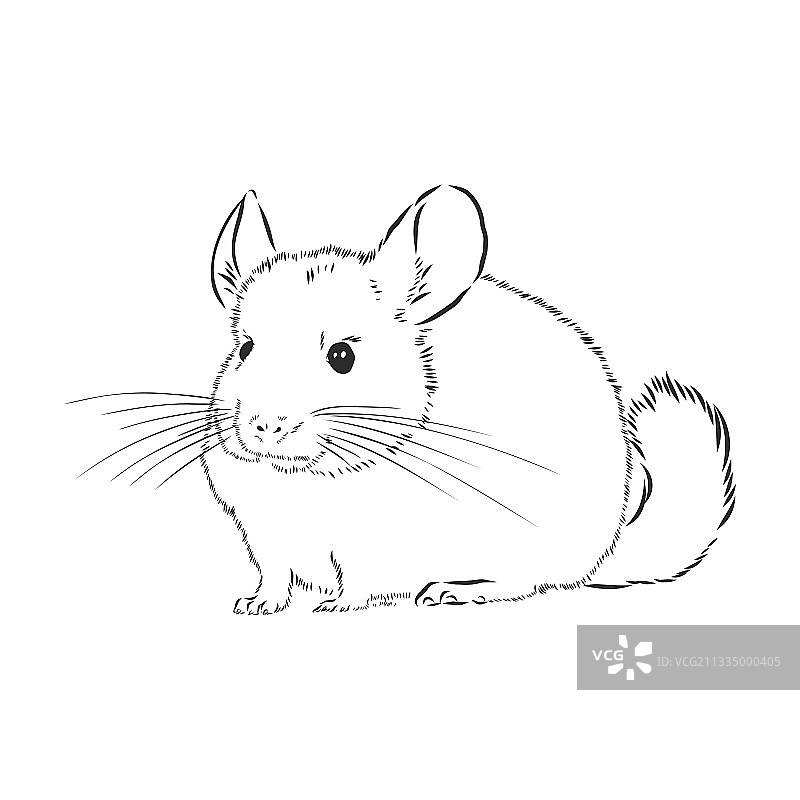 素描风格的手绘龙猫犬图片素材