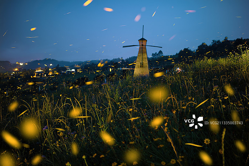 重庆江津：萤火虫夏夜飞舞，郊外成梦幻世界图片素材