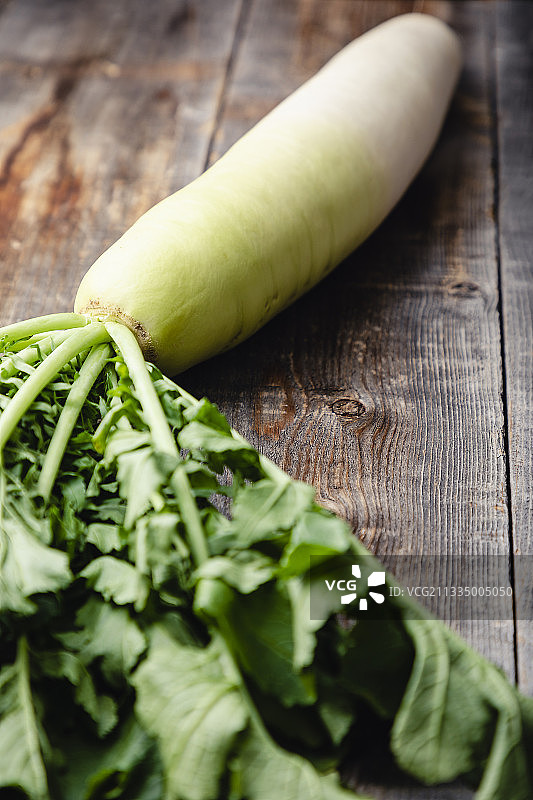 三浦萝卜，日本神奈川县图片素材