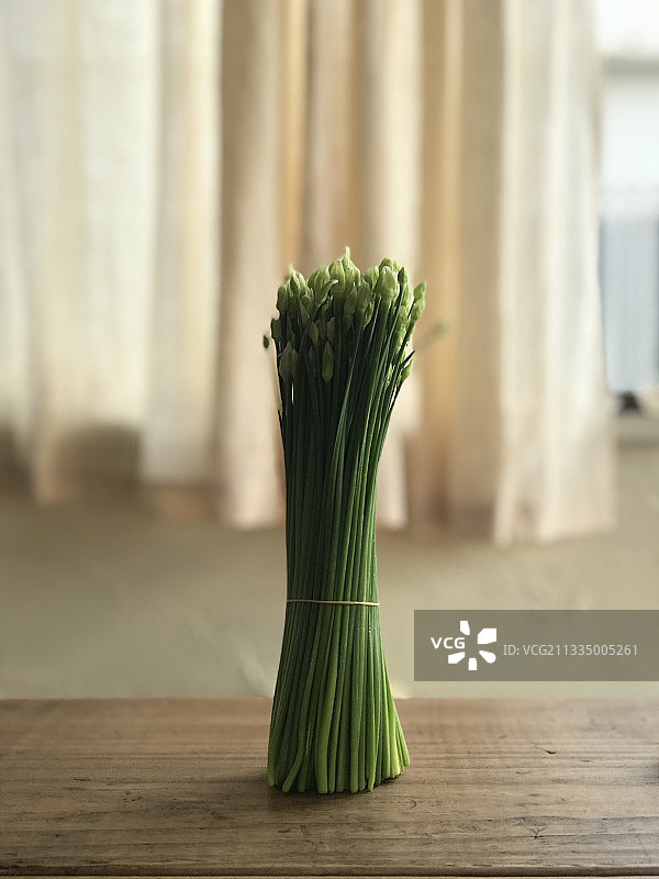 春季星花图片素材