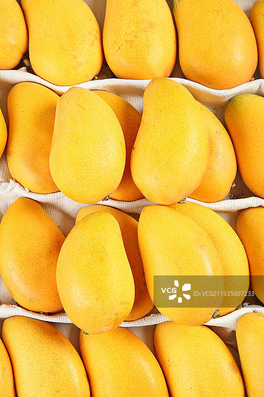 浅底上的新鲜水仙芒图片素材