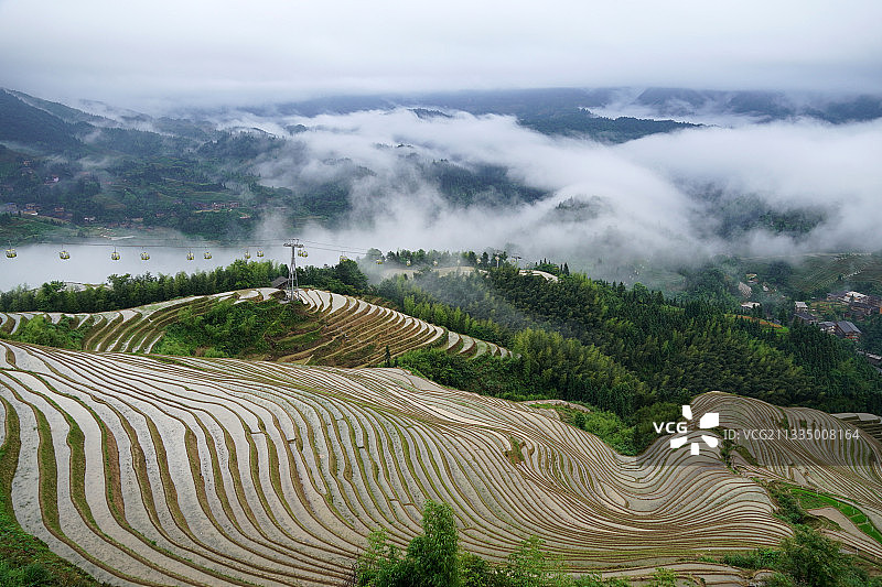 广西龙胜：龙脊金坑高山梯田雨后云海如画美图片素材
