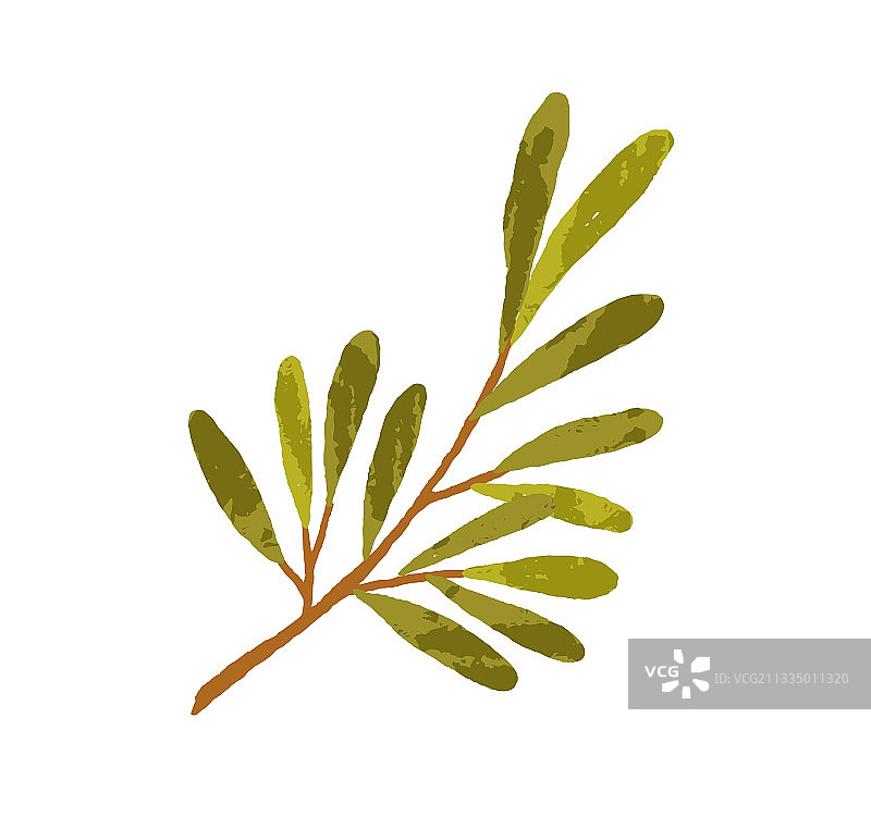 手绘长绿叶树枝图片素材