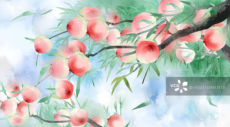 中国风水彩桃树插画背景图片素材