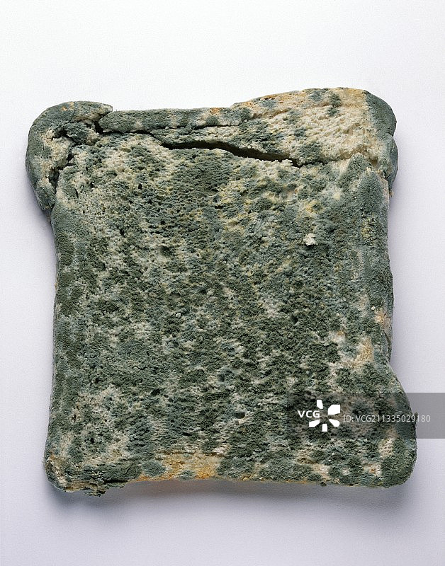 发霉的面包图片素材