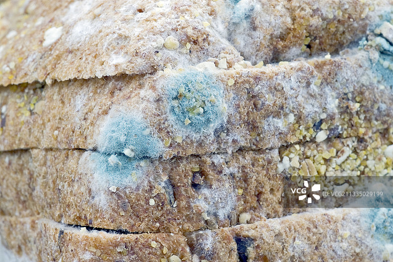 发霉的面包图片素材