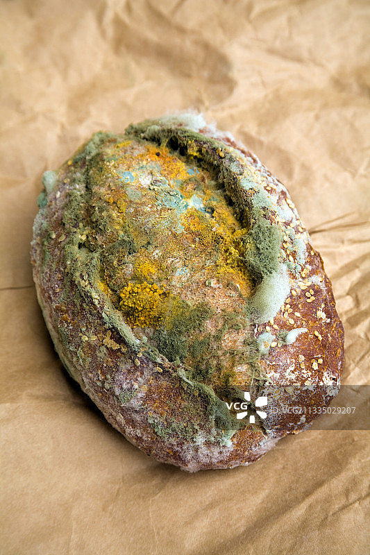 发霉的面包卷图片素材