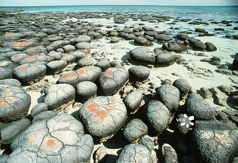 叠层石图片素材