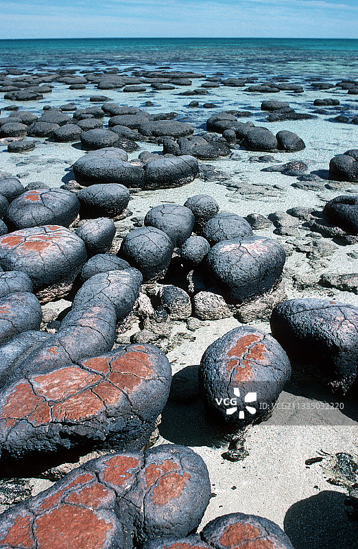 叠层石图片素材