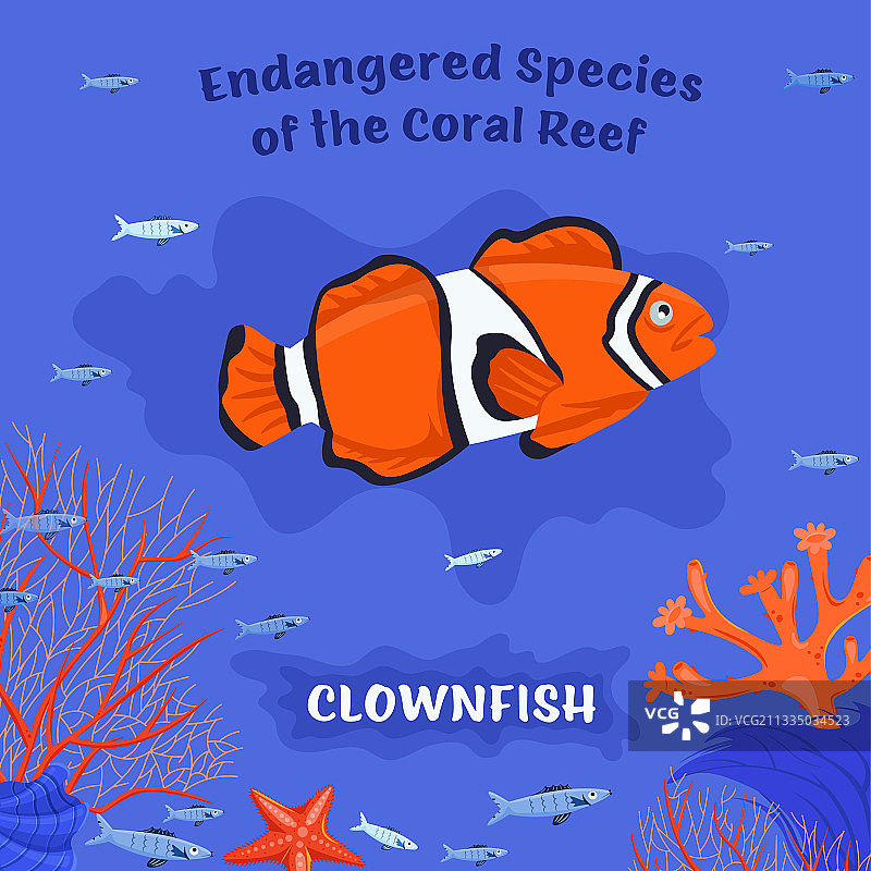濒危的珊瑚礁鱼类图片素材
