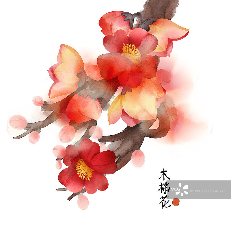 中国风木棉花插画元素图片素材