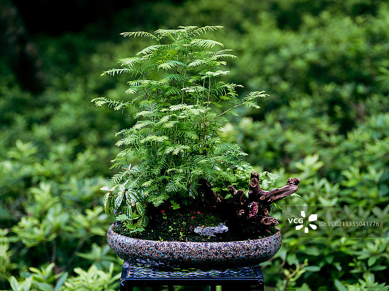 杭州·万松书院，梁山伯与祝英台“三载同窗”之地图片素材