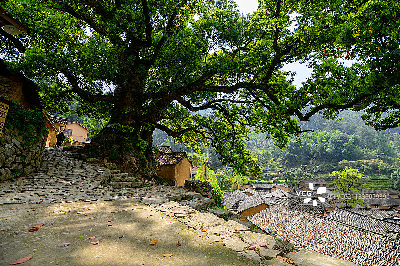 浙江丽水松阳杨家堂村. 被中国国家地理评为最后的江南秘境图片素材